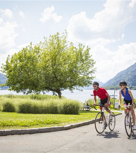 Fahrradfahren im Sommer 5