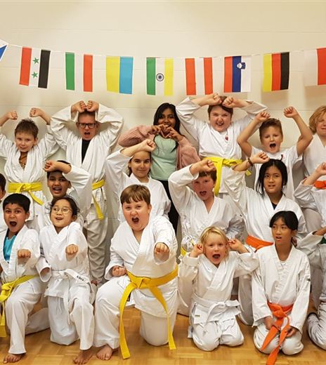 Gemeinsam Stark 11 Nationen Karate.jpg