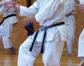 Kata Bushido.png