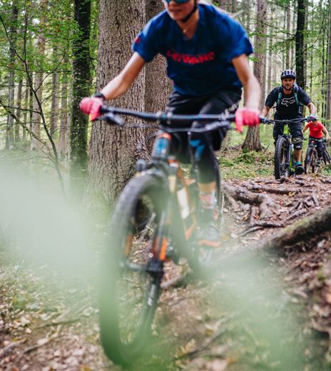 Latschacher Trail lake.bike