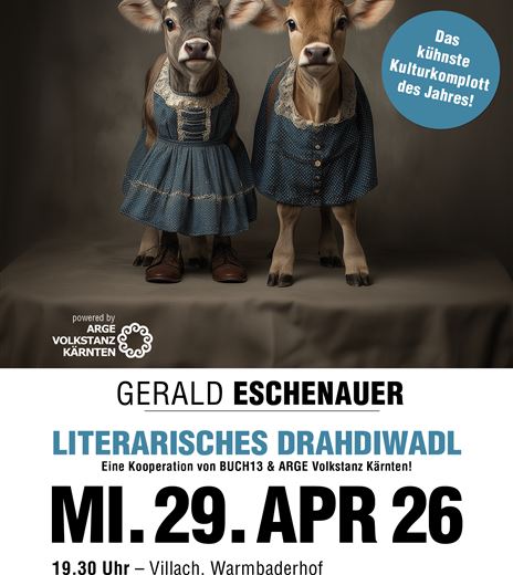 Plakat - Literarisches Drahdiwadl.jpg