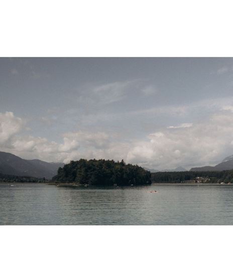 shakelakedado seel..png