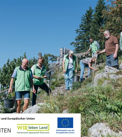 Tag der offenen Tür Alpengarten (c) Strauss.jpg