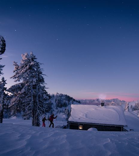 unplugged (c) Michael Stabentheiner.jpg