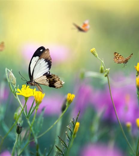 VERANSTALTUNG_Workshops Bioboxen.jpg