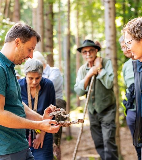 Wald der Zukunft Führung_Ossiacher Tauern_2025_oebf_Michael Stabentheiner.jpg