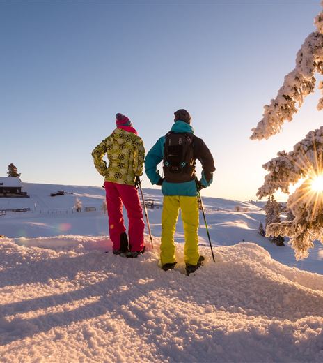 Winter Sonnen Erlebnis AKTIV (c) Michael Stabentheiner.jpg