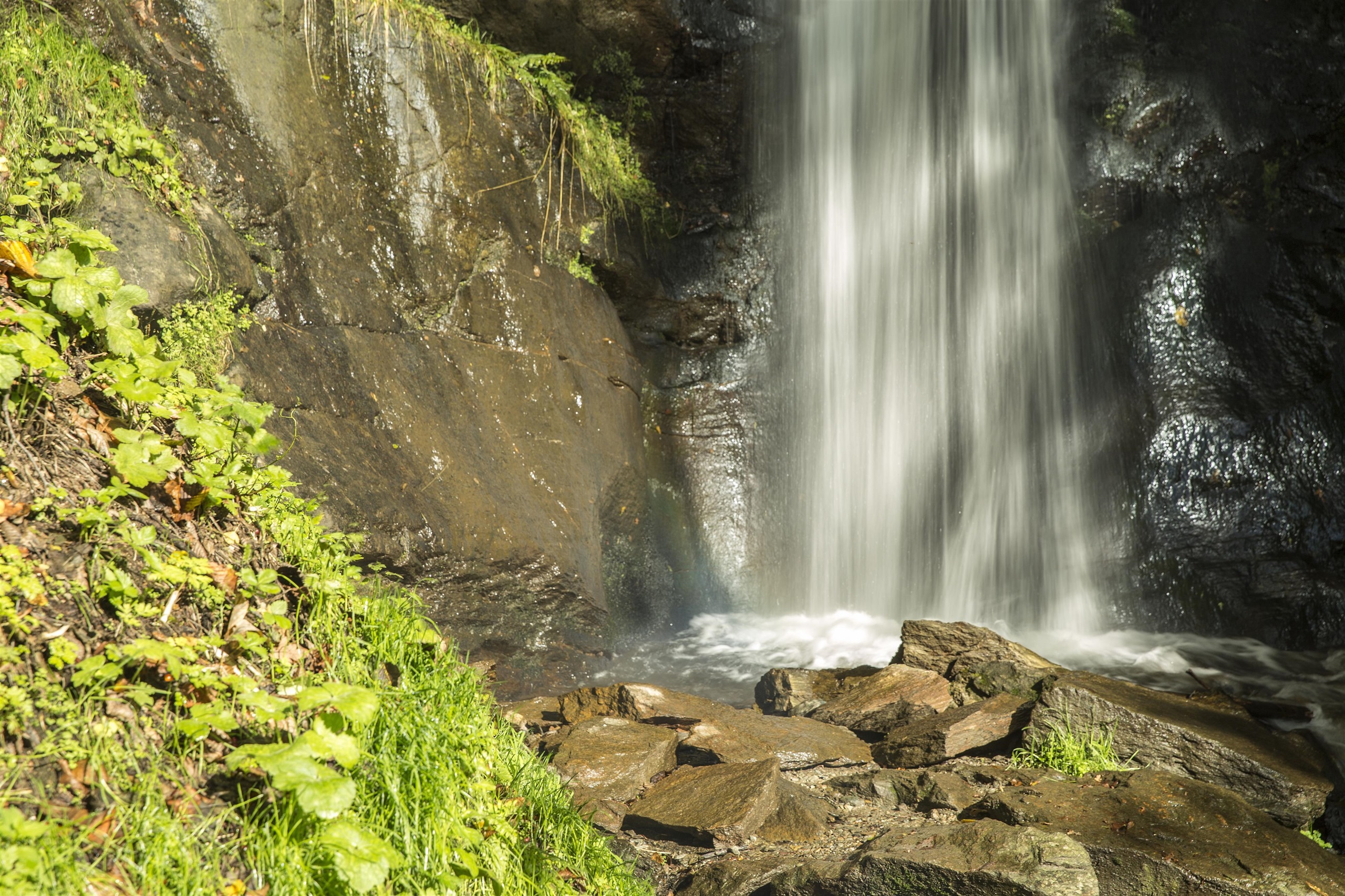 Finsterbach Wasserfälle