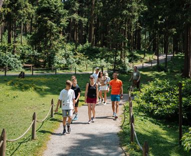 Eine Gruppe von Menschen spaziert auf einem Weg durch einen Wald. Die Umgebung ist grün und sonnig.