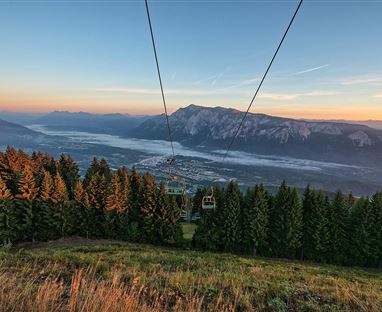 Eine malerische Aussicht auf die Berge mit dichten Nadelbäumen im Vordergrund. Im Hintergrund erstreckt sich ein Tal mit sanften Nebelschwaden bei Sonnenaufgang.