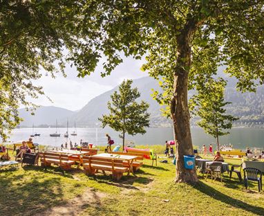 Ein schöner Park am Wasser mit Tischen und Bänken unter Bäumen. Im Hintergrund sind Boote und Berge zu sehen.