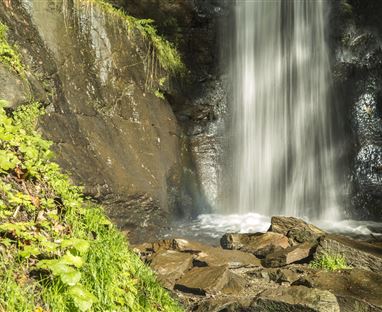 Ein Wasserfall fließt über glatte Felsen. Umgeben von grünem Gras und Pflanzen ist die Szenerie naturbelassen und friedlich.