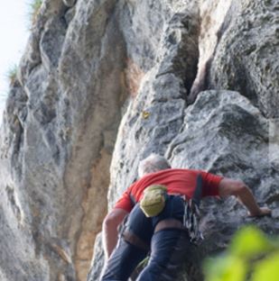 Ein Kletterer erklimmt eine steile Felswand. Die Umgebung ist natürlich und grün, mit Felsen und Pflanzen.