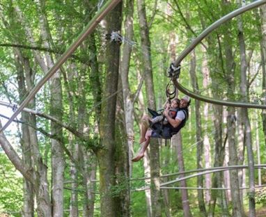 Eine Person schwingt an einer Seilbahn durch einen grünen Wald. Die Bäume sind hoch und dicht, was eine abenteuerliche Atmosphäre schafft.