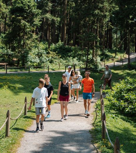 A group of people is walking on a path through a forest. The surroundings are green and sunny.