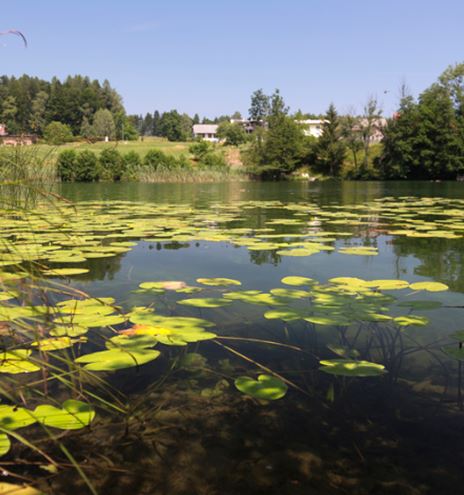 Aichwaldsee
