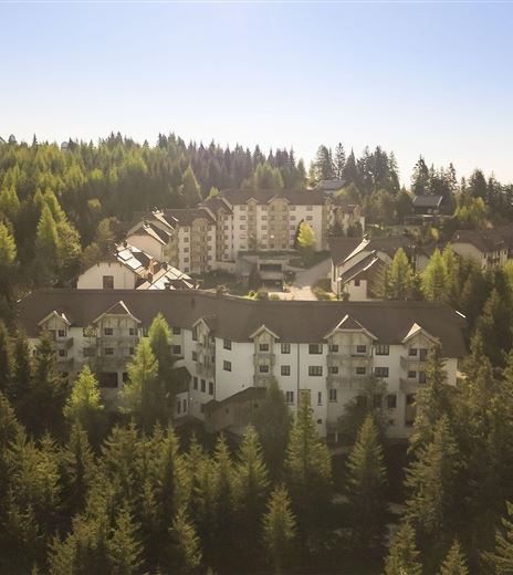 Ein malerisches Resort, umgeben von dichten Wäldern und Bergen. Die Gebäude sind harmonisch in die natürliche Umgebung integriert.