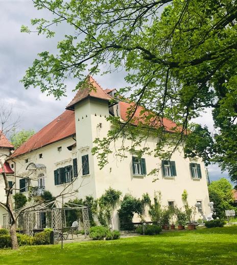 An elegant house with a red roof and large windows.
Surrounded by green landscape and trees.