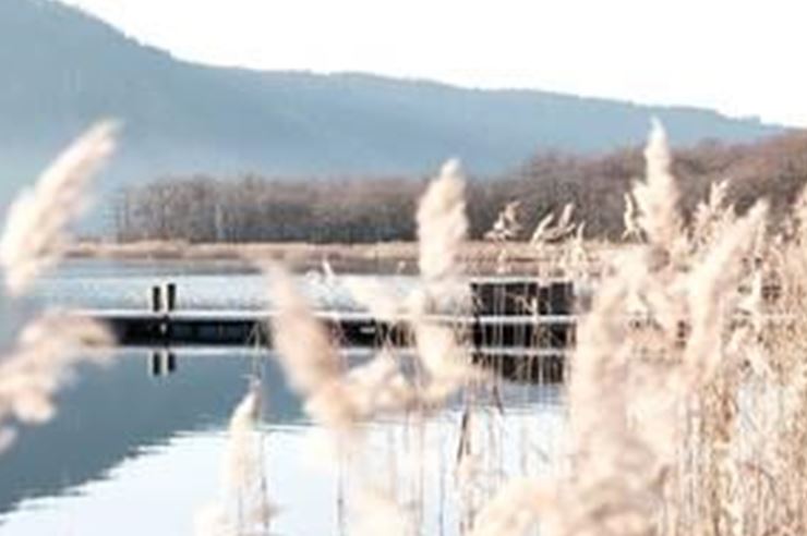A peaceful lake landscape with reeds in the foreground. In the background, mountains and a clear sky are visible.