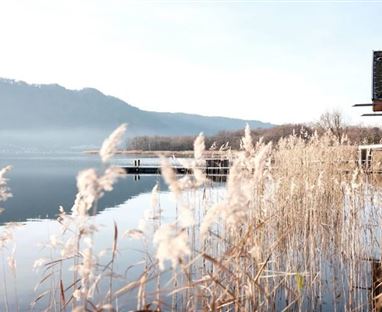 A peaceful lake landscape with reeds in the foreground. In the background, mountains and a clear sky are visible.