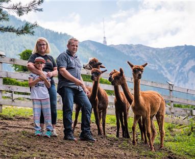 A family stands in nature next to several alpacas. In the background, mountains and a blue sky are visible.