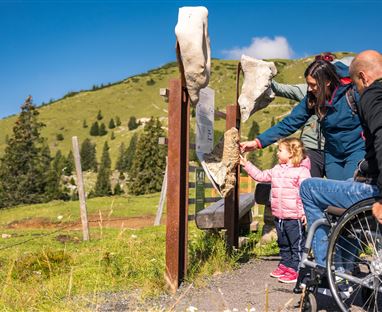 A family explores a hiking trail in the mountains. A little girl points at an information board while an adult in a wheelchair watches.