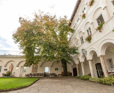 A courtyard with a large tree and historic buildings. The green plants and tasteful design create an inviting atmosphere.