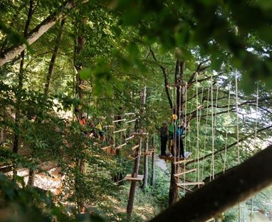 Ein Hochseilgarten in einem dichten Wald mit mehreren Plattformen und Seilruten. Menschen bewegen sich zwischen den Bäumen und nutzen die Kletterelemente.