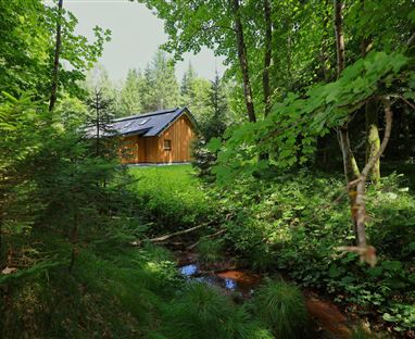 A cozy cabin stands on the edge of a forest, surrounded by lush greenery. A small stream flows nearby, creating a tranquil atmosphere.