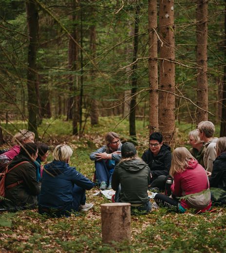 Eine Gruppe von Menschen sitzt im Wald und spricht miteinander. Um sie herum wachsen Bäume und das Laub liegt auf dem Boden.