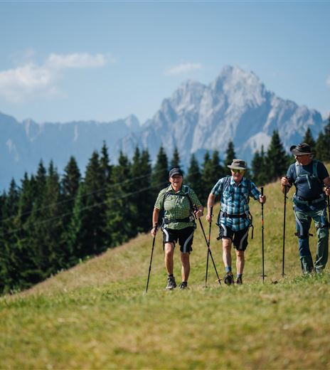 Drei Wanderer gehen mit Trekkingstöcken über eine grüne Wiese. Im Hintergrund sind majestätische Berge und ein blauer Himmel zu sehen.