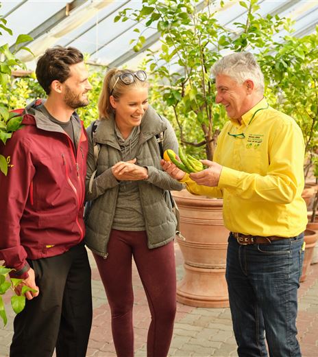 Workshop im Zitrusgarten