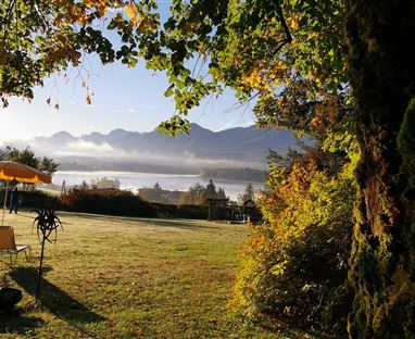 Eine ruhige Landschaft mit Bäumen und einer sanften Morgenstimmung. Im Hintergrund sind Berge und ein Wasserlauf sichtbar.