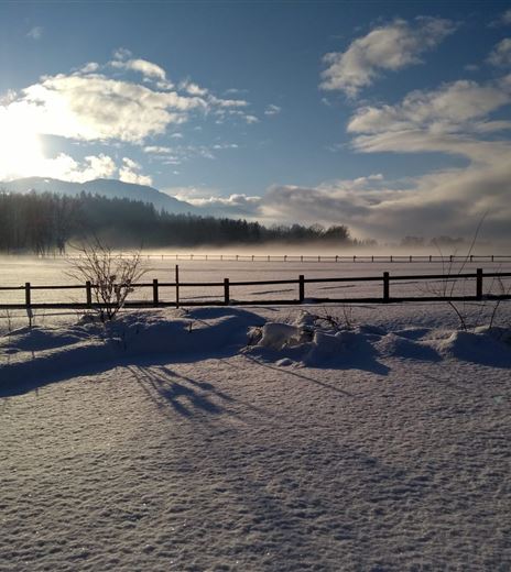 Un paesaggio innevato con una recinzione di legno e montagne sullo sfondo. Il sole brilla e il cielo è blu con alcune nuvole.