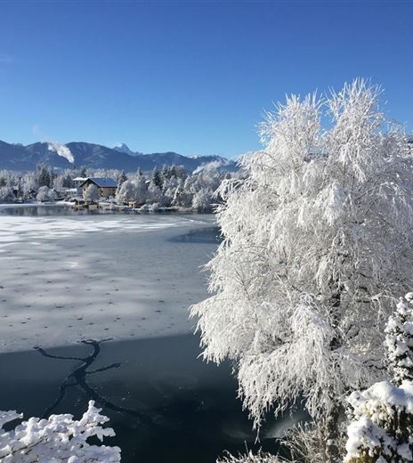 Eine schneebedeckte Landschaft mit vereistem See und frostigen Bäumen. Der Himmel ist klar und blau, was die Winteridylle unterstreicht.