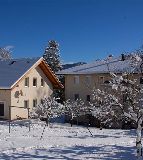 Two houses in the snow under a blue sky. The garden is covered with a blanket of snow and there are some snow-covered trees.