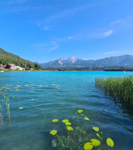 Ein malerischer See mit klarem, türkisfarbenem Wasser und grünen Pflanzen im Vordergrund. Im Hintergrund sind sanfte Hügel und Berge zu sehen.