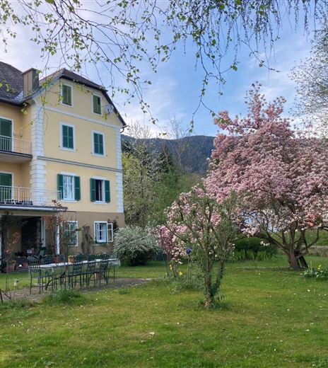 Ein reizendes Haus mit gelber Fassade und grünen Fensterläden. Im Garten blühen rosa Magnolienbäume, umgeben von einer grünen Wiese.