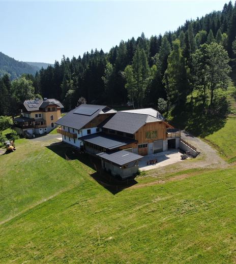 A modern house in nature, surrounded by green meadows and trees. In the background, gentle hills and a clear blue sky can be seen.