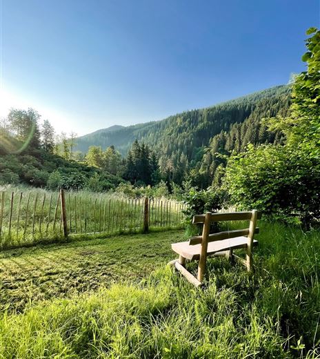 Una panchina di legno si trova su un prato con erba verde. Sullo sfondo si vedono dolci colline e alberi, sotto un cielo blu chiaro.