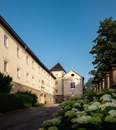 Eine historische Gebäudeansicht mit einer ruhigen Straße und grünen Pflanzen im Vordergrund. Der klare blaue Himmel ergänzt die charmante Atmosphäre.