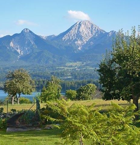 Liegewiese neben Obstgarten