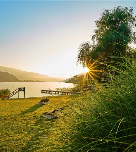 Un paesaggio pittoresco sull'acqua con prati verdi e alberi lungo la riva. Il sole sorge all'orizzonte e illumina la scena.