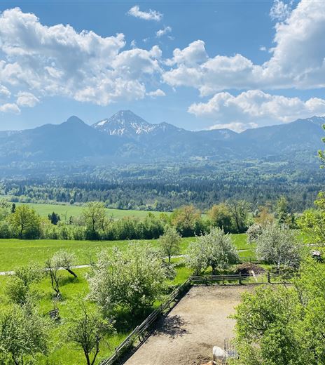 Eine schöne Landschaft mit weiten Wiesen und Bäumen. Im Hintergrund sind hohe Berge und ein klarer, blauer Himmel zu sehen.