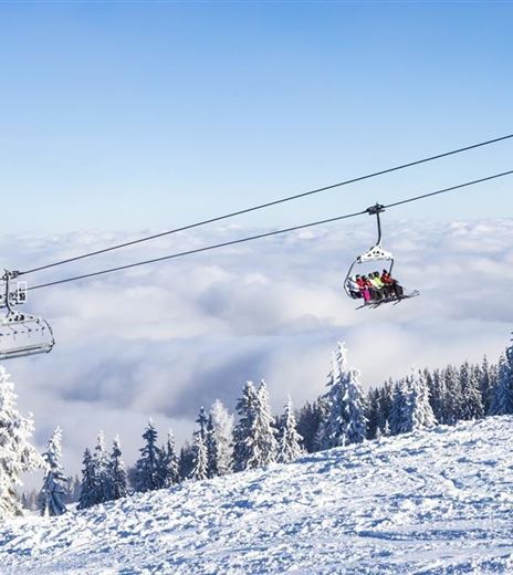 Un paesaggio montano innevato con una seggiovia e alberi coperti di neve. Nel background sono visibili delle nuvole.