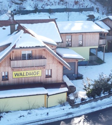 Un edificio coperto di neve con il nome "Waldhof" in un ambiente tranquillo. Intorno alla casa ci sono altri edifici e un paesaggio invernale.