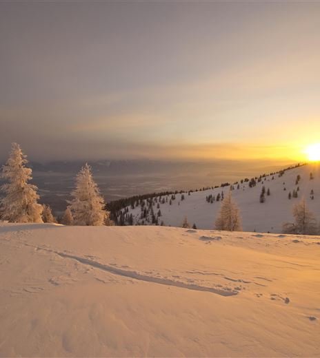 Eine winterliche Landschaft mit schneebedeckten Hügeln und gefrosteten Bäumen. Die Sonne geht am Horizont auf und taucht die Szene in goldenes Licht.