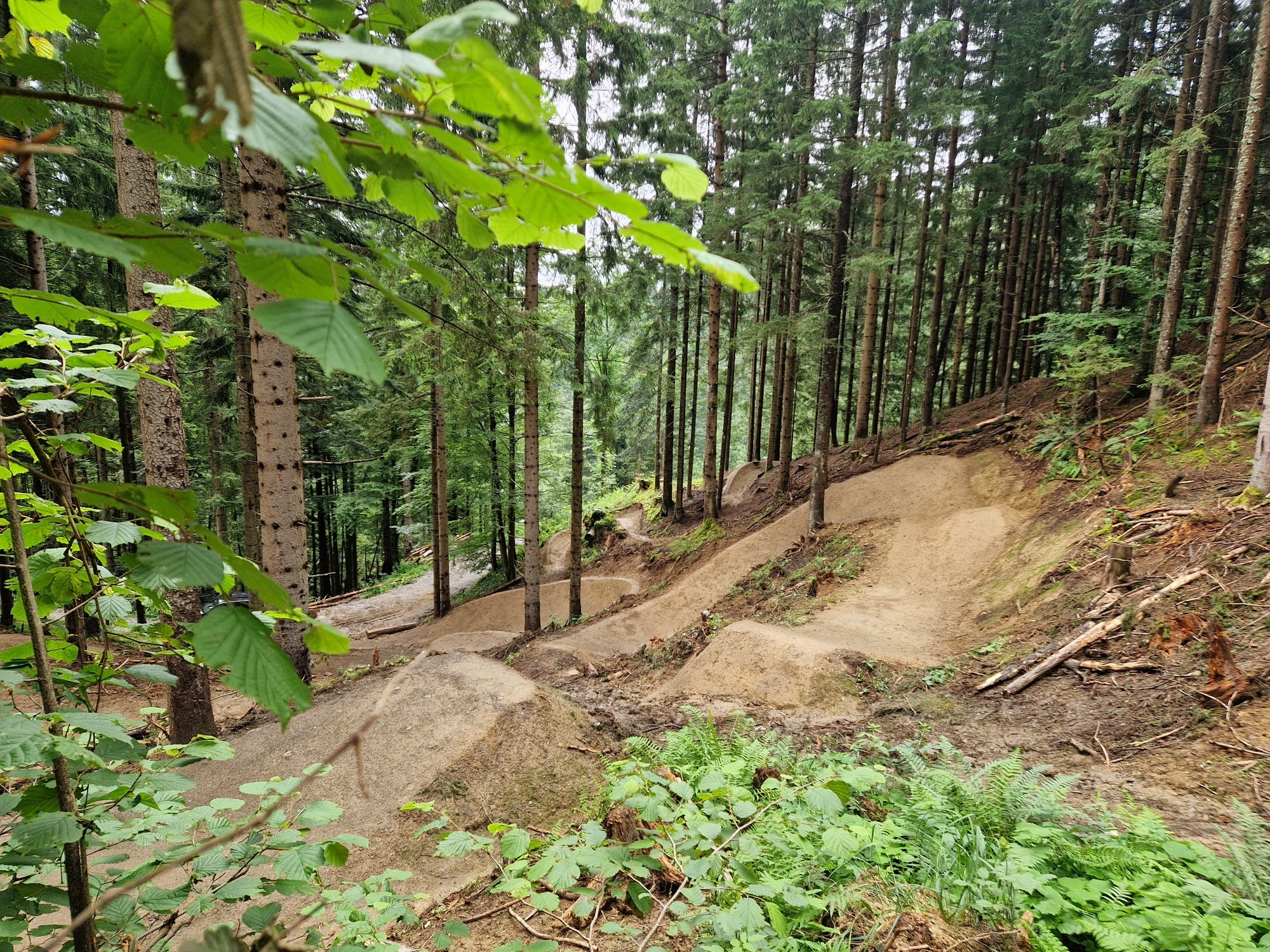Airgartner Trail - T43 - black Jumpline