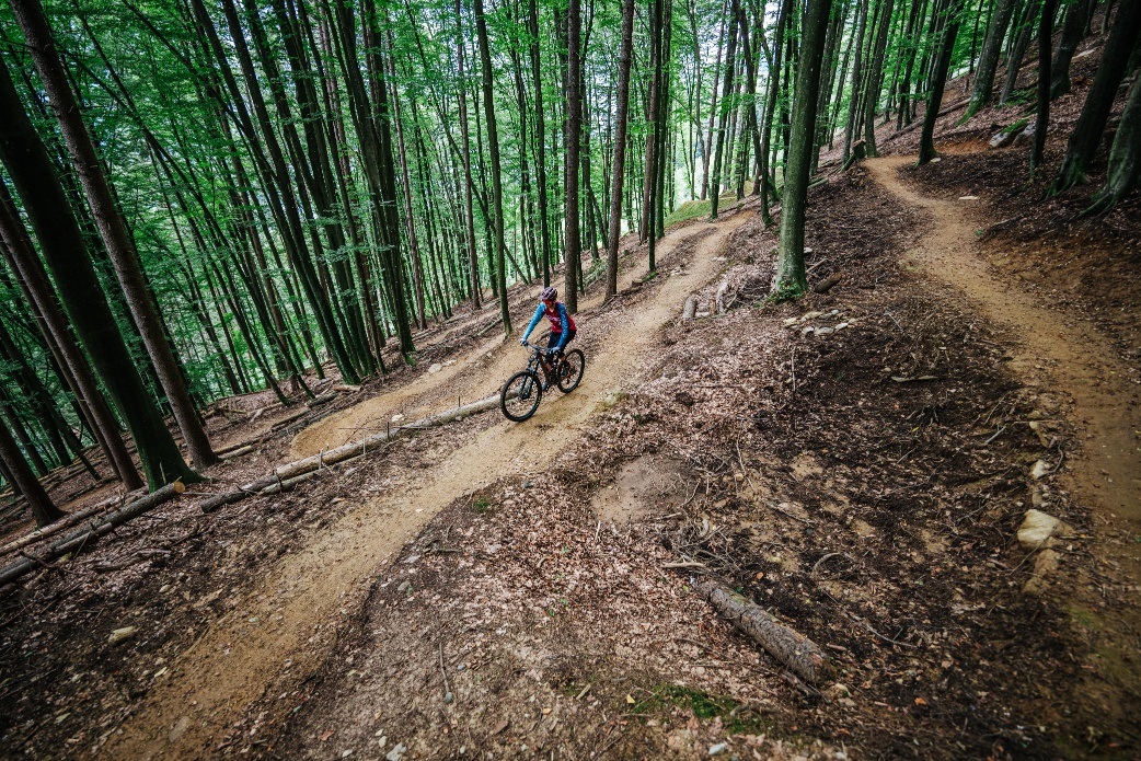 Alban Berg Uphill Trail - T79