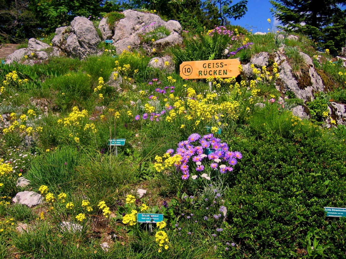 Alpengarten Dobratsch